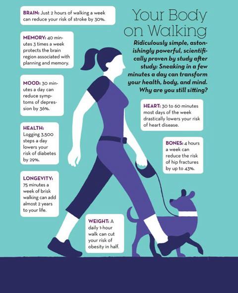 Benefits of Walking